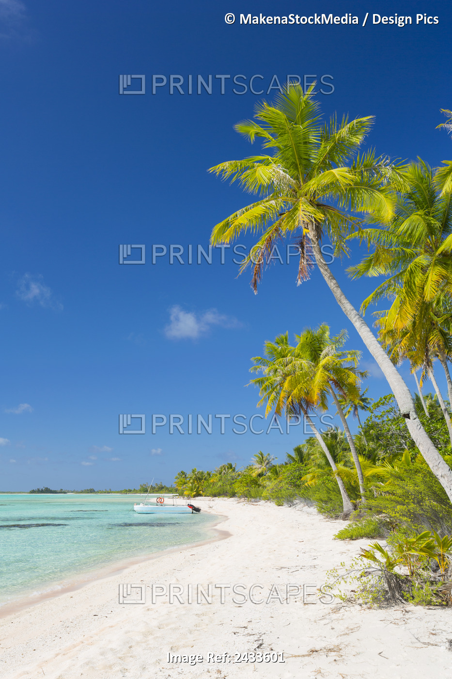 Tropical Sunny Island With Palm Trees And Blue Ocean; Tikehau, French Polynesia