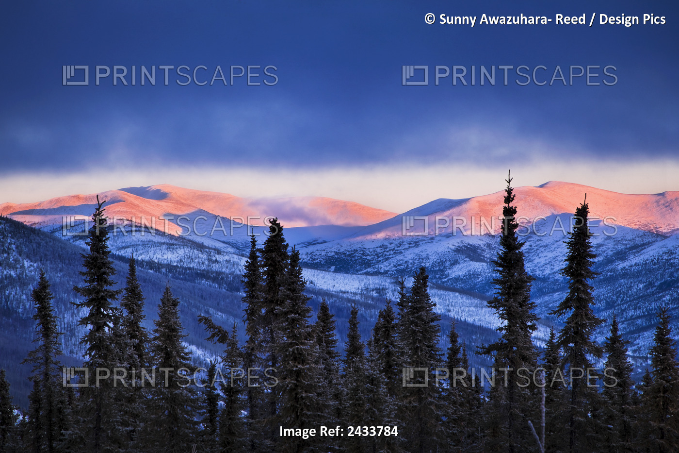 Sunset Grows On The Mountains In Winter, Chena River State Recreation Area, ...