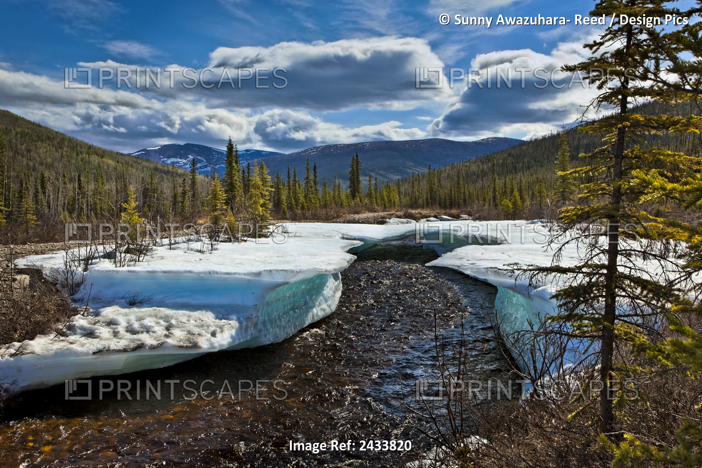 Monument Creek Meanders Through Melting Snow In Early Spring, Chena River State ...