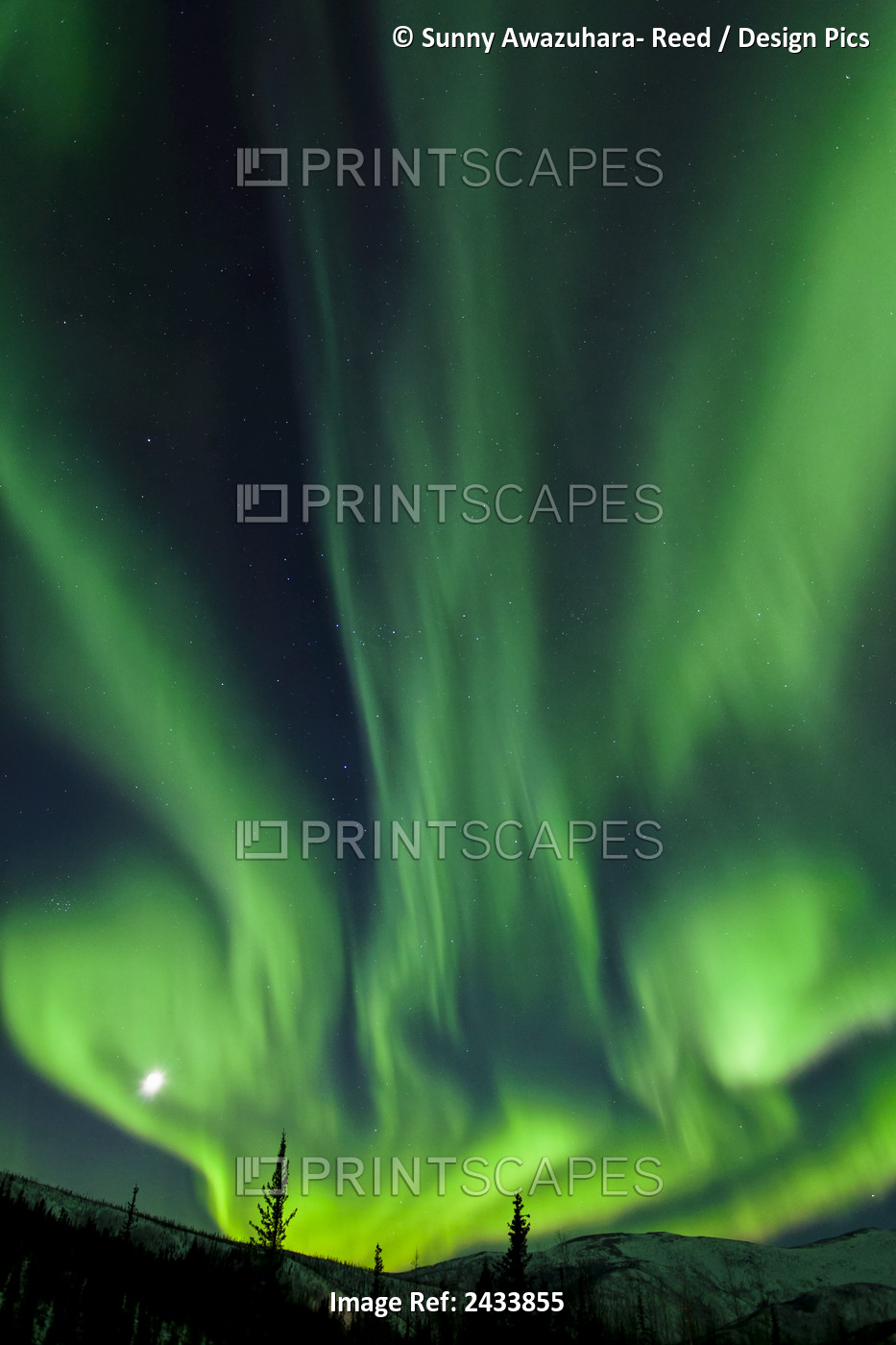 The Bright Neon Green Aurora And Moon Dancing Like A Flame Over The Boreal ...