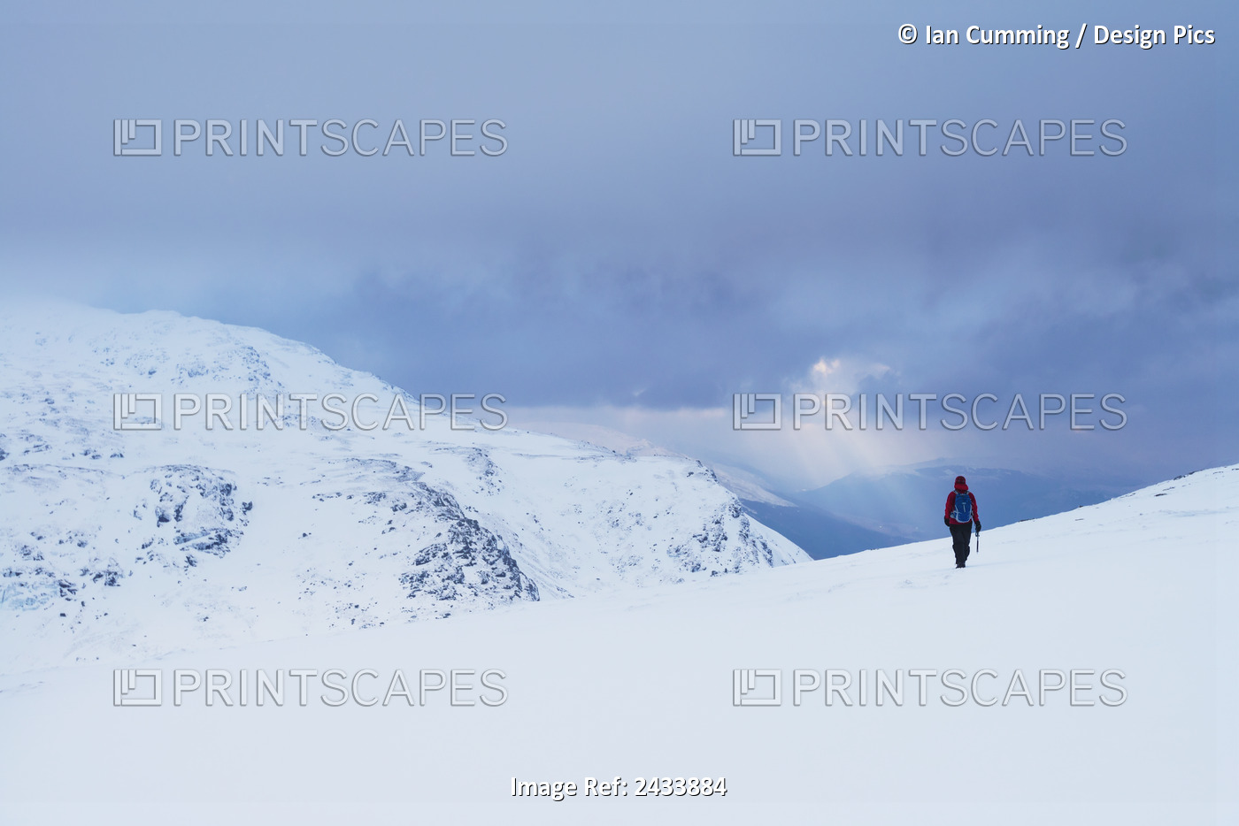 Woman Walking In Snow Covered, Winter Conditions On Beinn An Dothaidh, Near ...