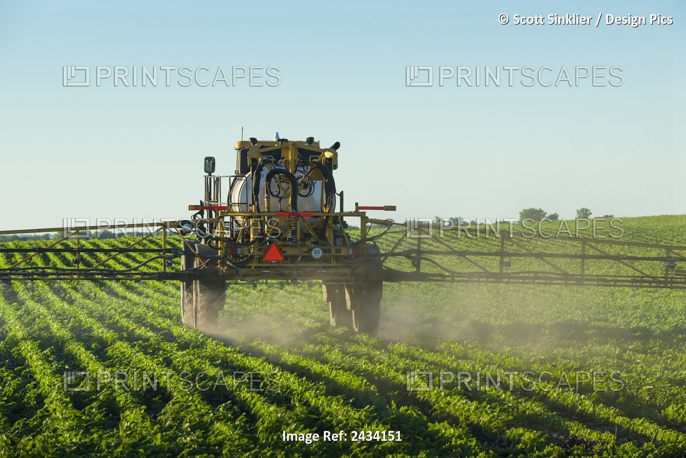 A Commercial Sprayer Applies Herbicide To A Young, Green Soybean Field In ...