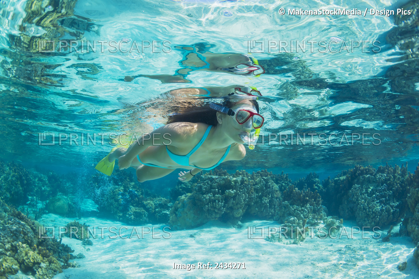 Underwater View Of A Woman Snorkelling In The Coral Gardens; Bora Bora, French ...
