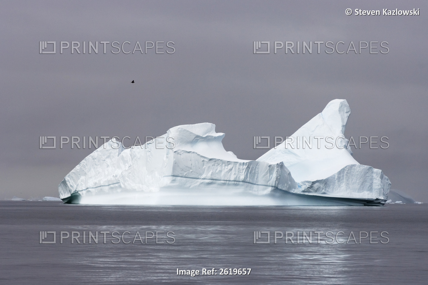 Iceberg Floating Off The Western Antarctic Peninsula, Antarctica, Southern Ocean