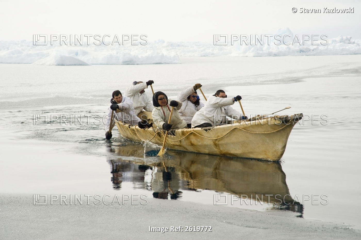 Inupiaq Subsistence Whalers Paddle Their Umiak, Or Bearded Seal Skin Boat, To ...