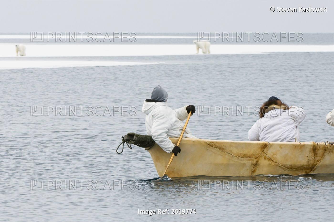 Inupiaq Subsistence Whalers In Their Umiak, Or Bearded Seal Skin Boat, Watch A ...