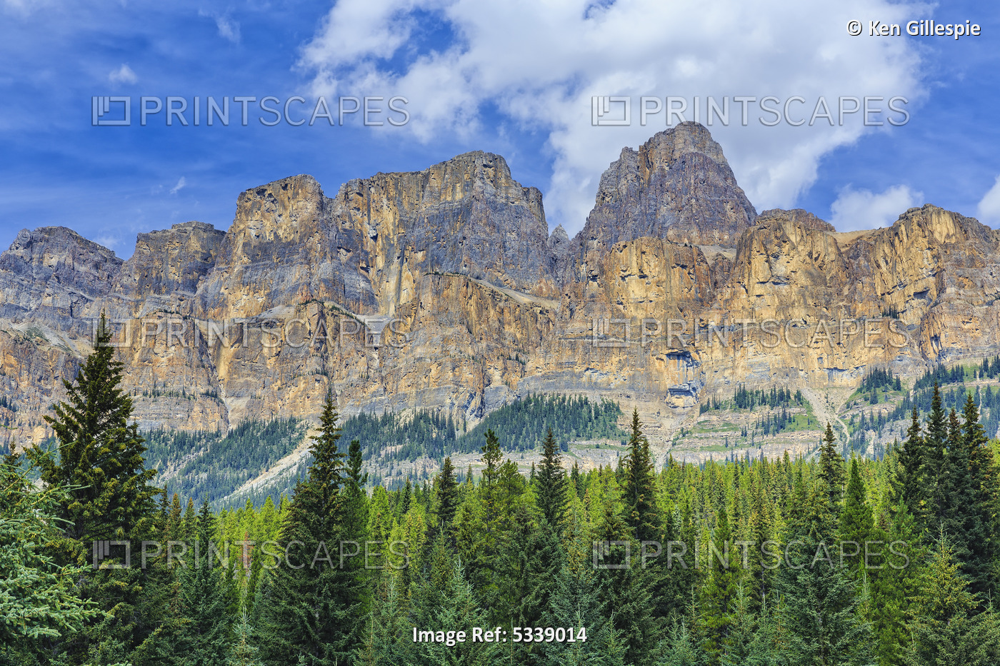 Castle Mountain And Coniferous Trees, Banff National Park; Alberta, Canada