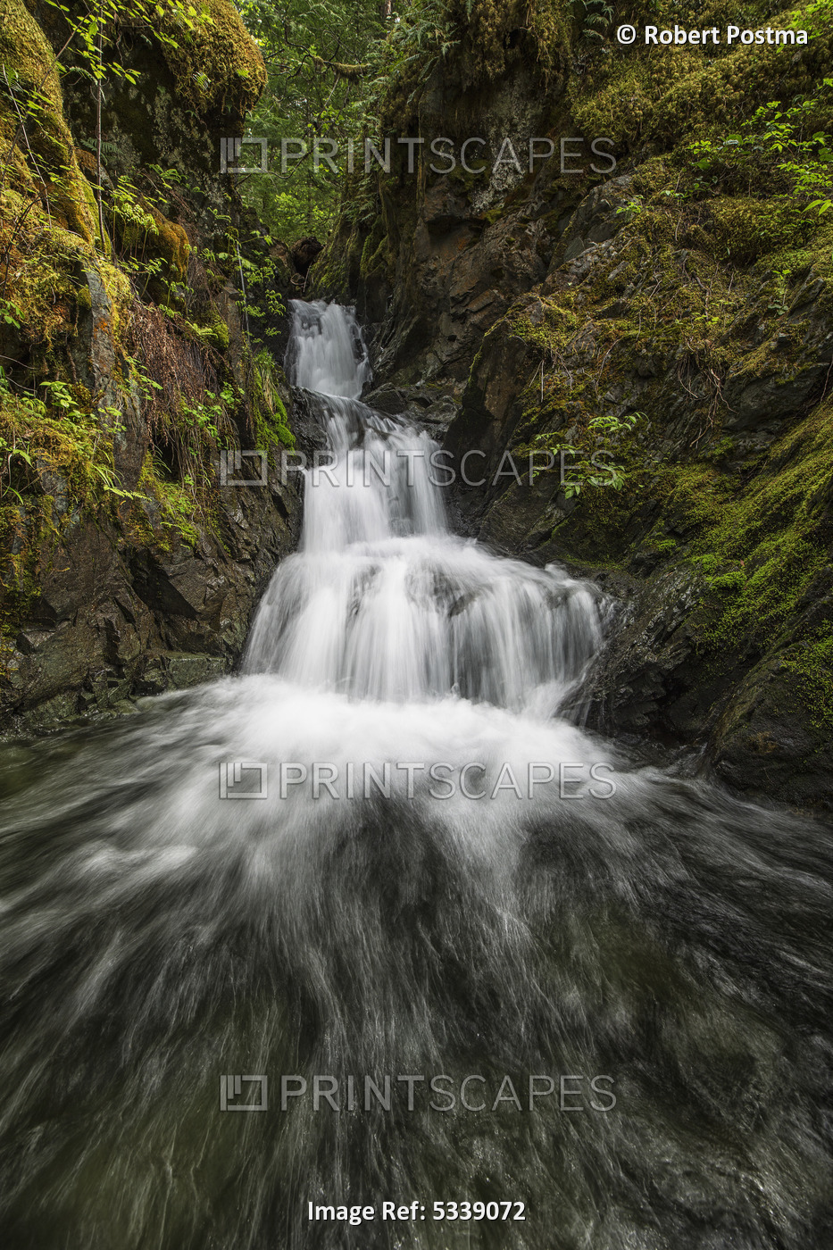Unnamed Stream And Waterfall, Strathcona Provincial Park; British Columbia, ...