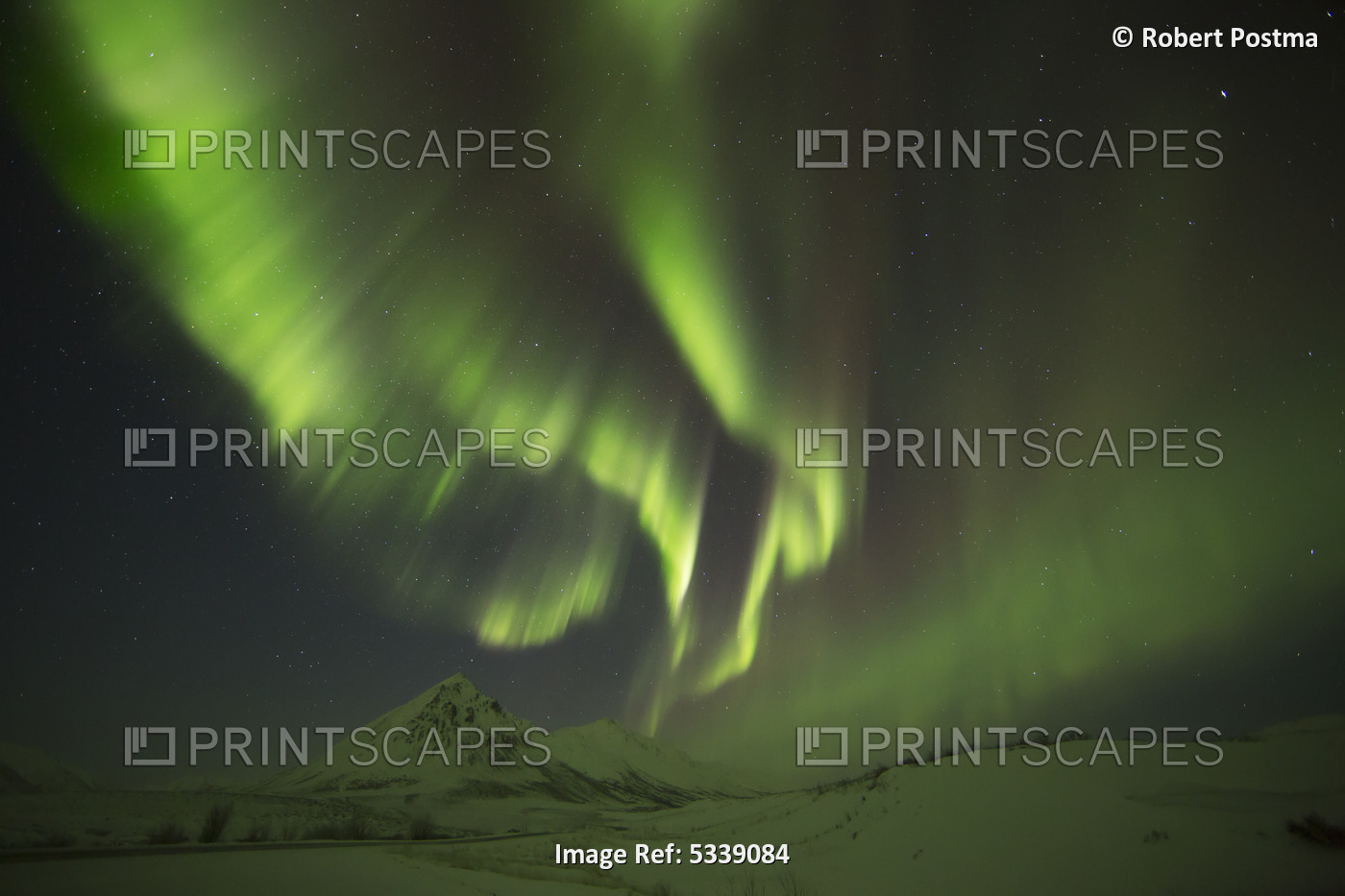 Aurora Borealis, Or Northern Lights, Along The Dempster Highway; Yukon, Canada