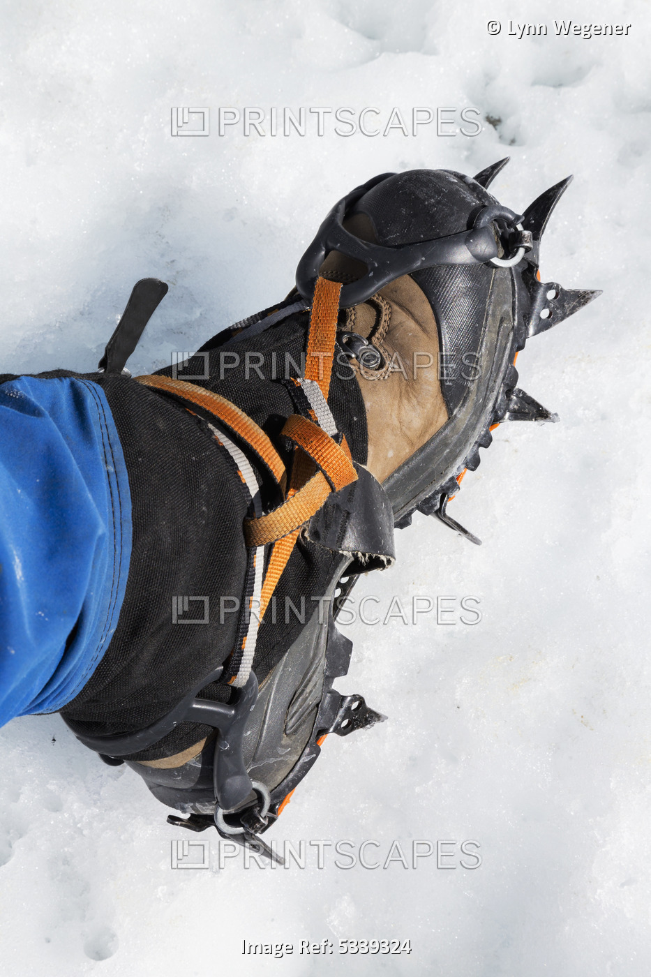View Of A Hiker's Foot Wearing A Crampon Standing On The Matanuska Glacier; ...