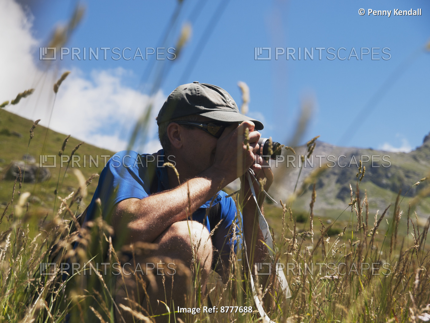 Man Photographing Alpine Meadow Flowers And Insects; Valais, Switzerland