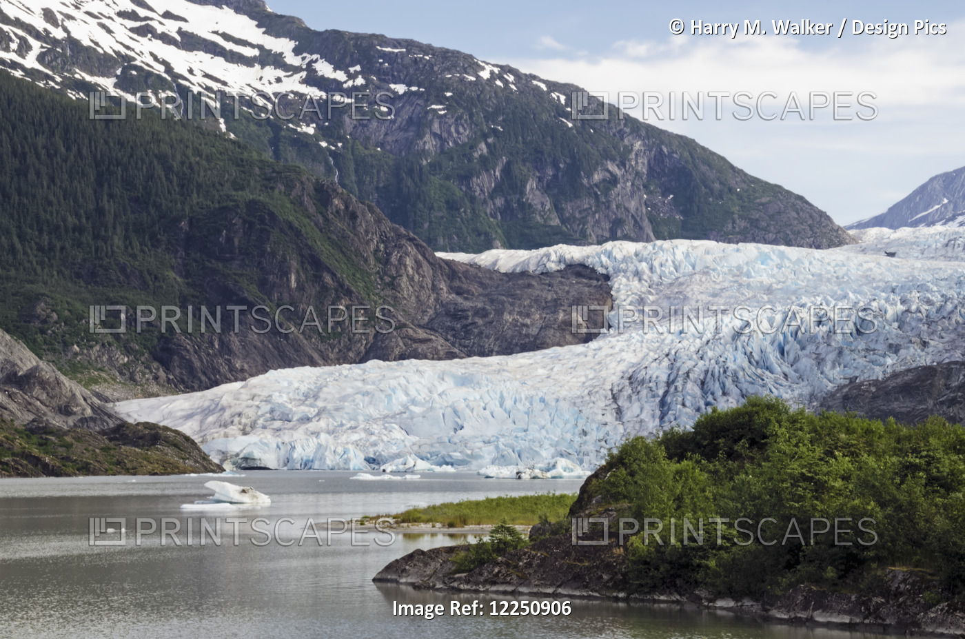 Mendenhall Glacier In Mendenhall Valley, Tongass National Forest; Alaska, ...