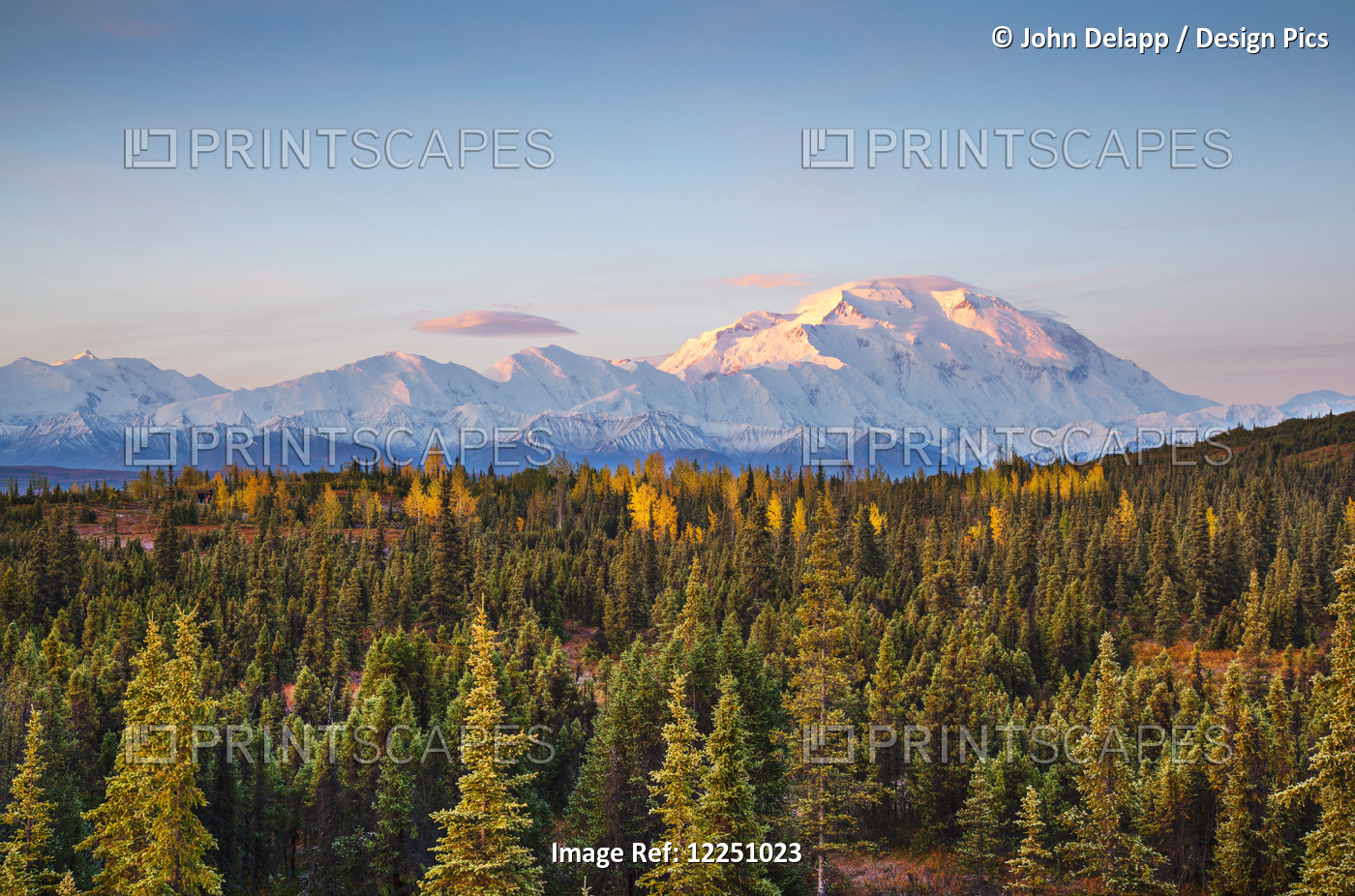 Early Morning Shot Of The North Face Of Mt. Mckinley (Denali) From Wonder Lake ...