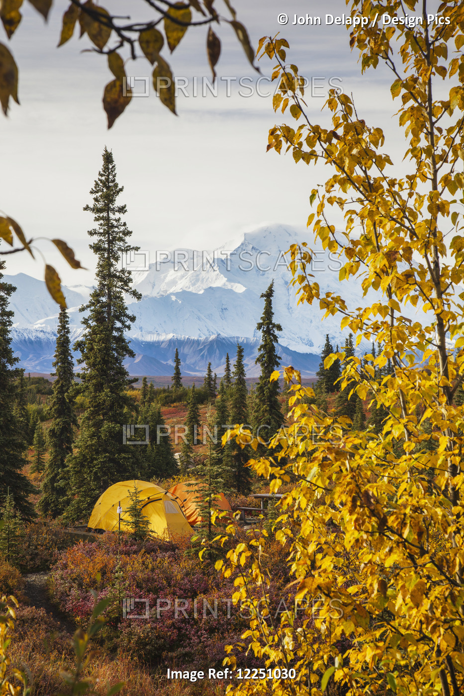 View Of Tents In Wonder Lake Campground With Mt. Mckinley (Denali) On The ...