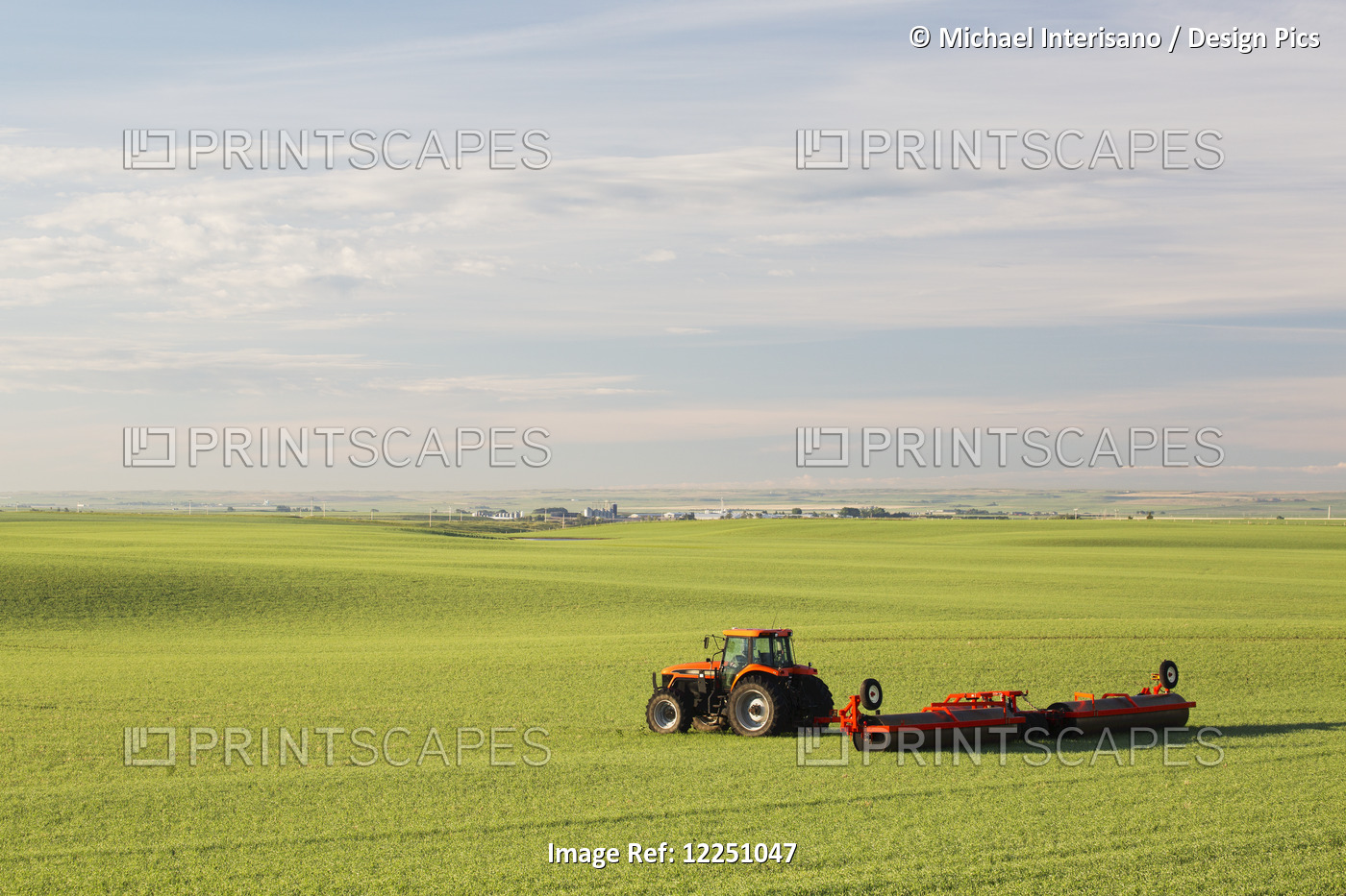Tractor And Land Roller In An Early Growth Cereal Grain Field. Land Rollers ...