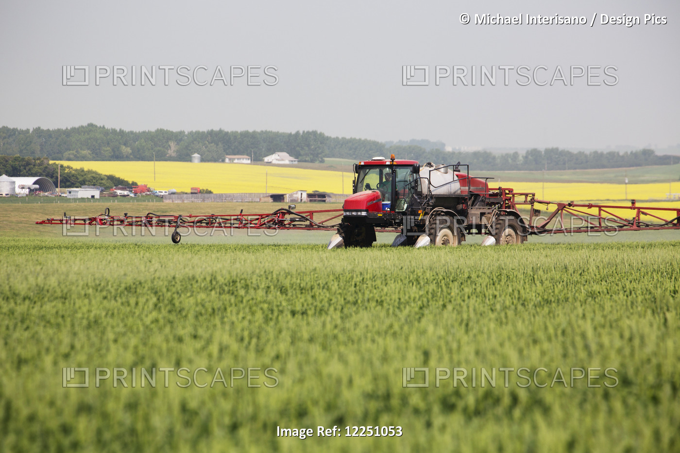 Crop Sprayer In The Field Spraying An Early Growth Wheat Crop With A Flowering ...