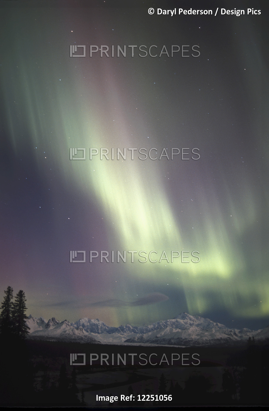 Pastel Aurora Above Mount Mckinley; Alaska, United States Of America