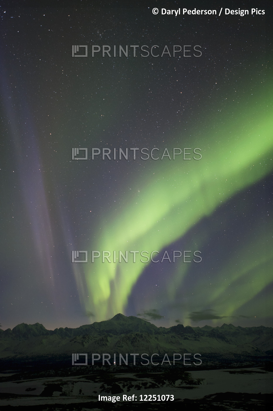 Aurora Over Mt. Mckinley As Seen From Curry Ridge; Alaska, United States Of ...