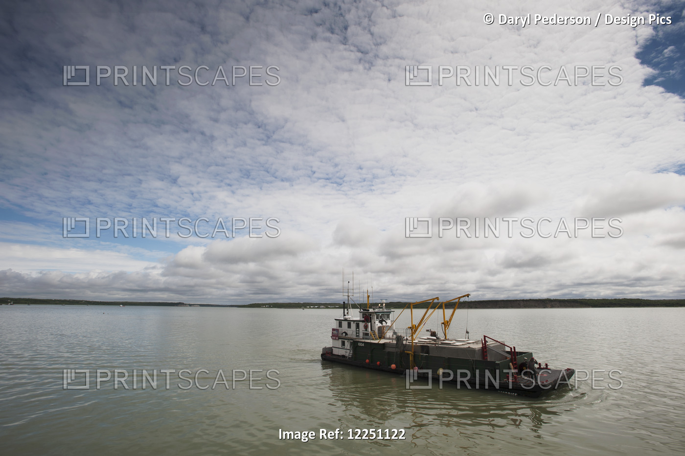 Tender Loaded With Salmon Arriving At Cannery, Naknek, Bristol Bay, Southwest ...