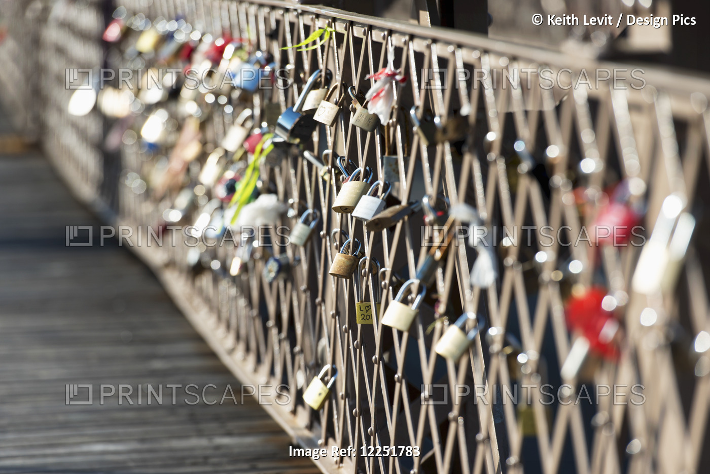 Love Locks On A Fence; New York City, New York, United States Of America