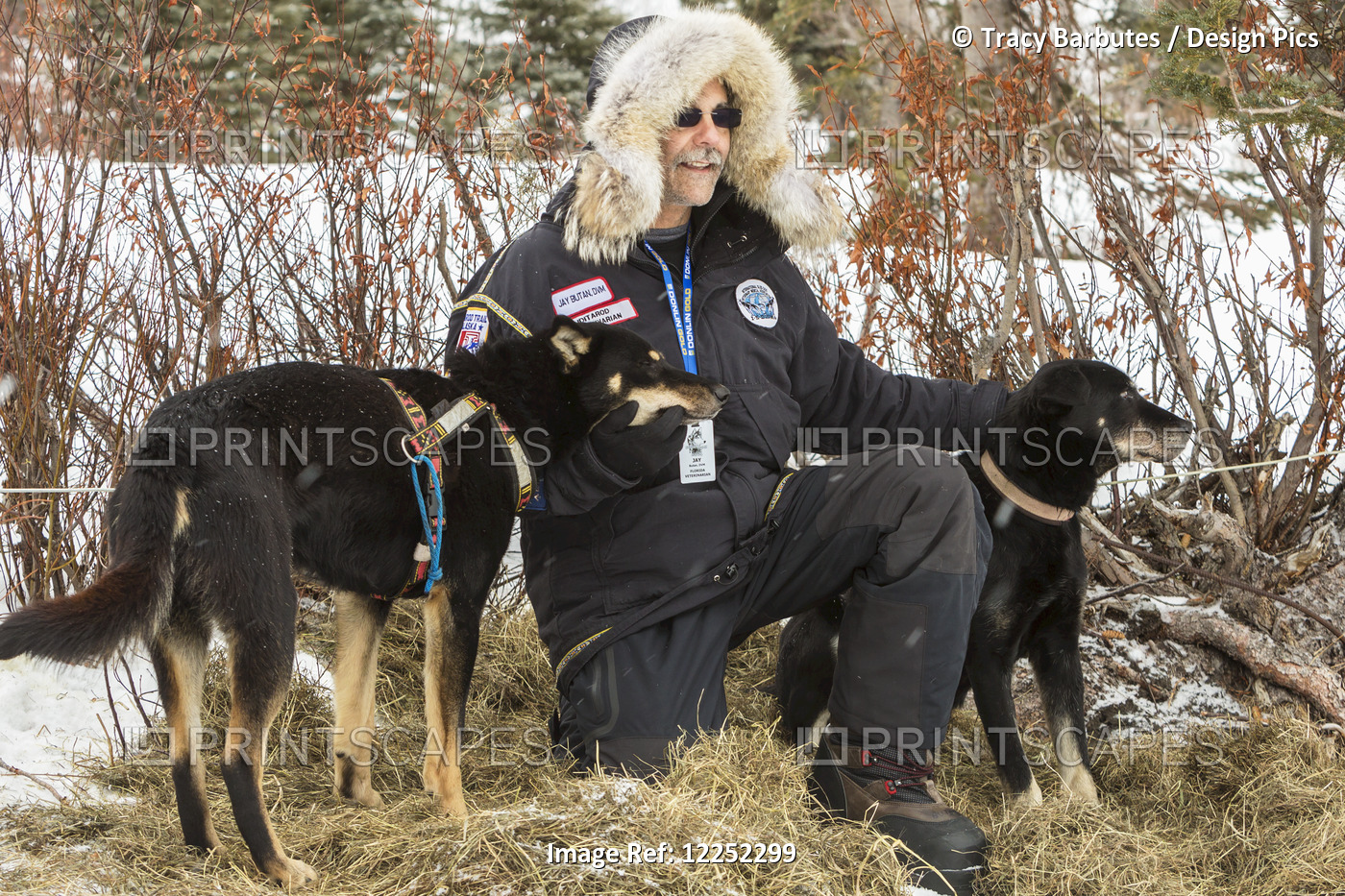 Volunteer Veterinarian, Jay Butan, Poses For Photos With Dropped Dogs At The ...