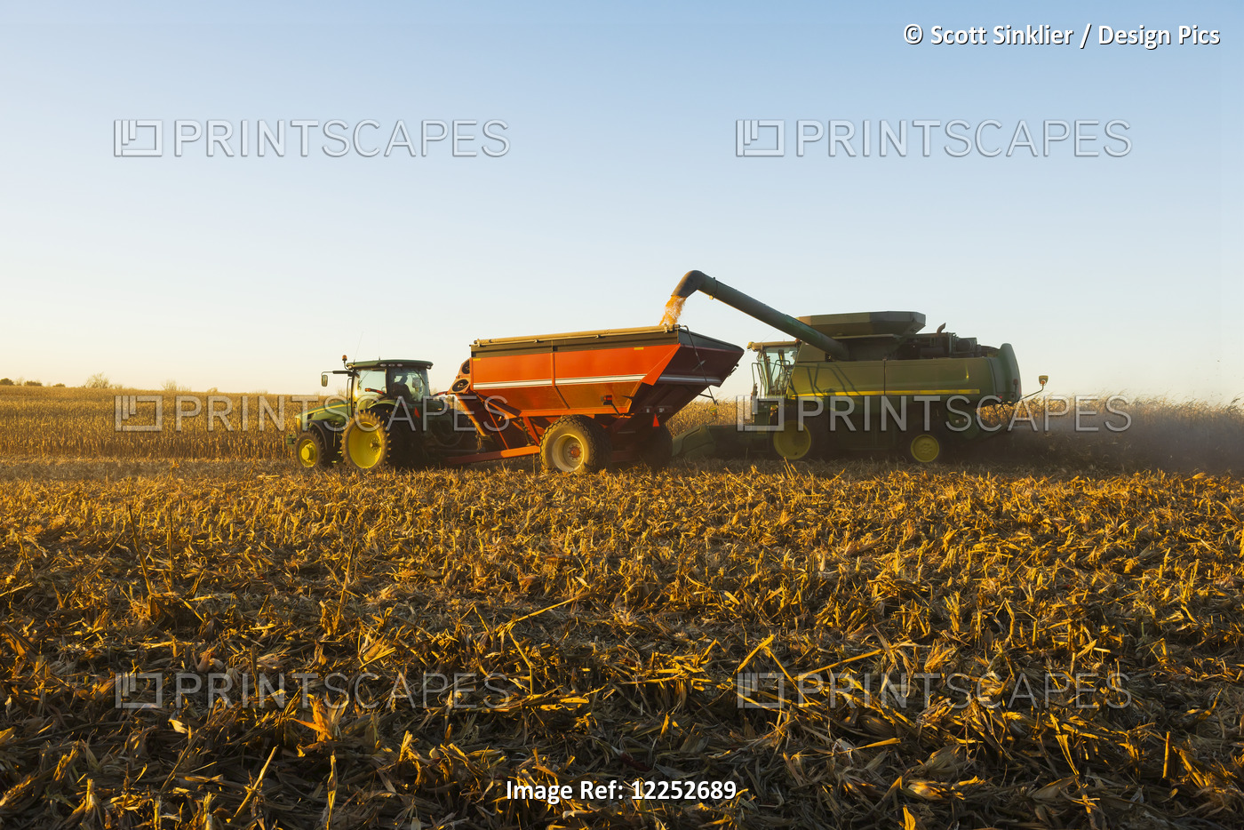 A Farmer Augers Harvested Yellow Grain Corn From A Combine Into A Grain Wagon ...