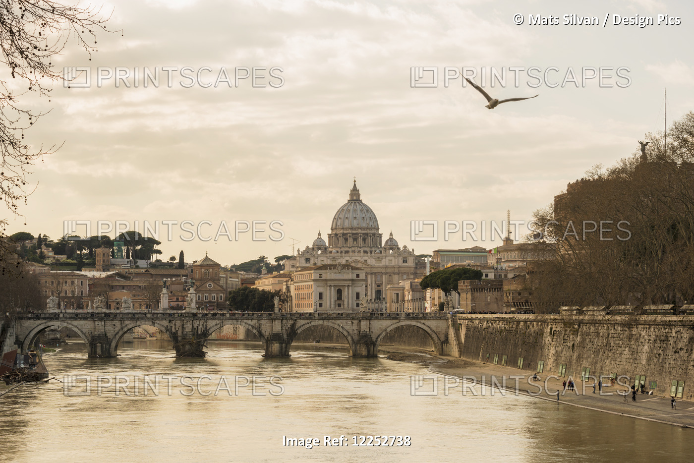 St. Peter's Basilica And River Tiber; Rome, Lazio, Italy
