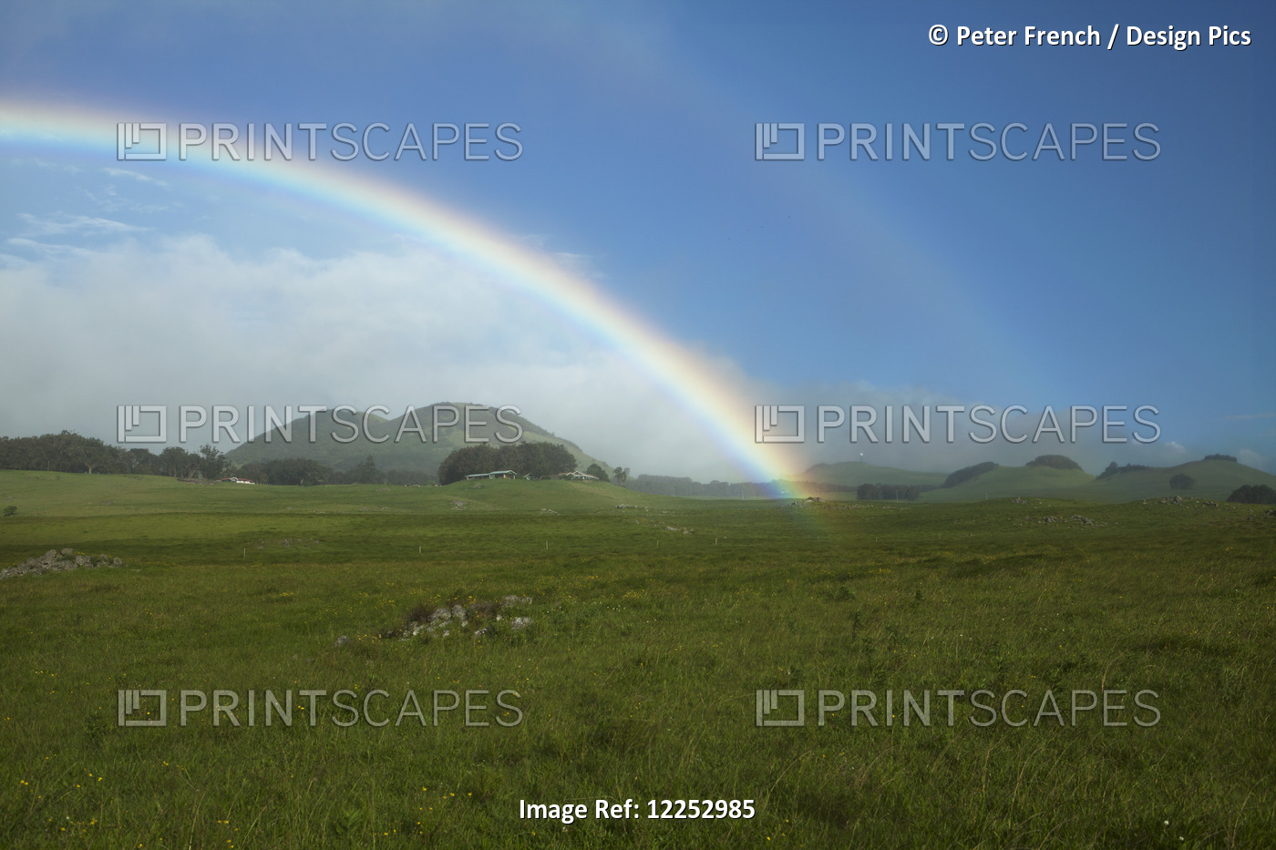 Rainbow, Cinder Cones And Ranch Pasture; Island Of Hawaii, Hawaii, United ...