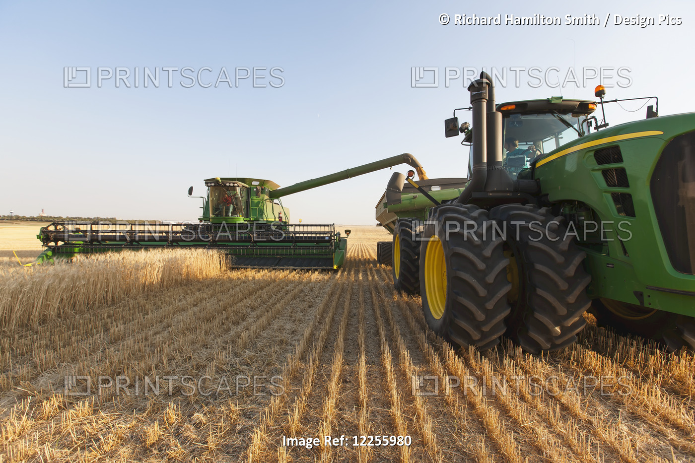 Paplow Harvesting Company Custom Combines A Wheat Field, Near Ray; North ...