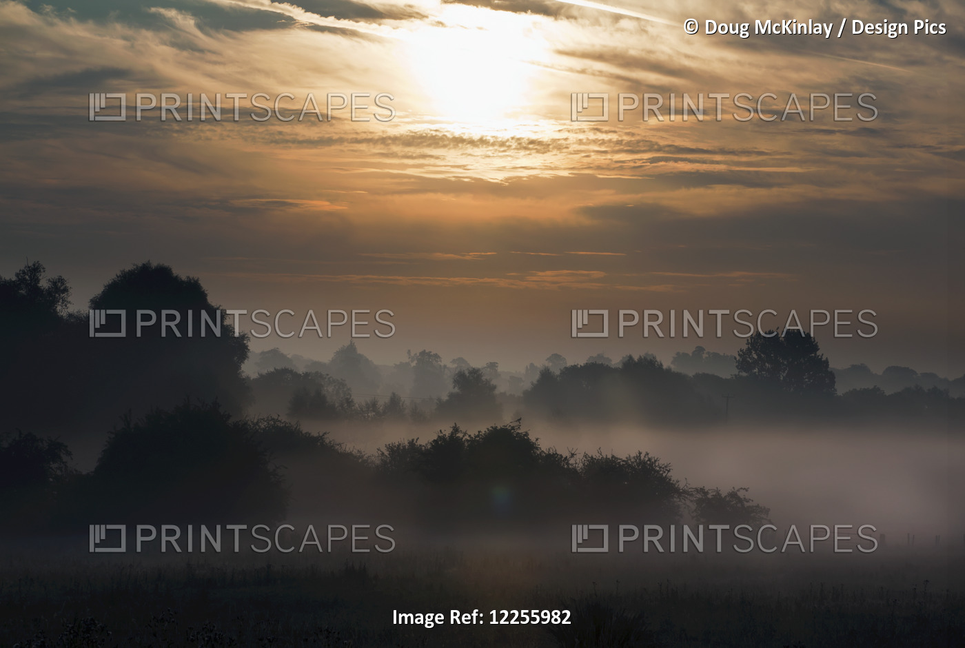 Summer Morning With Fog On A Kent Farm; Kent, England