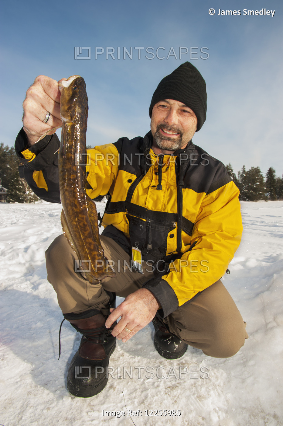 Ice Fisherman Holding A Ling Fish; Ontario, Canada