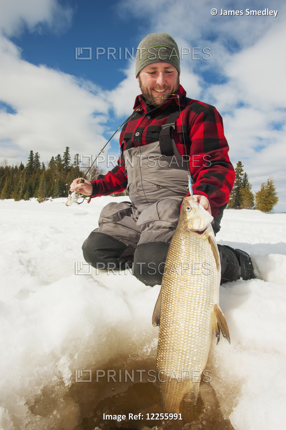 Ice Fisherman Holding A Large Whitefish Ready To Release Back Into The Hole; ...