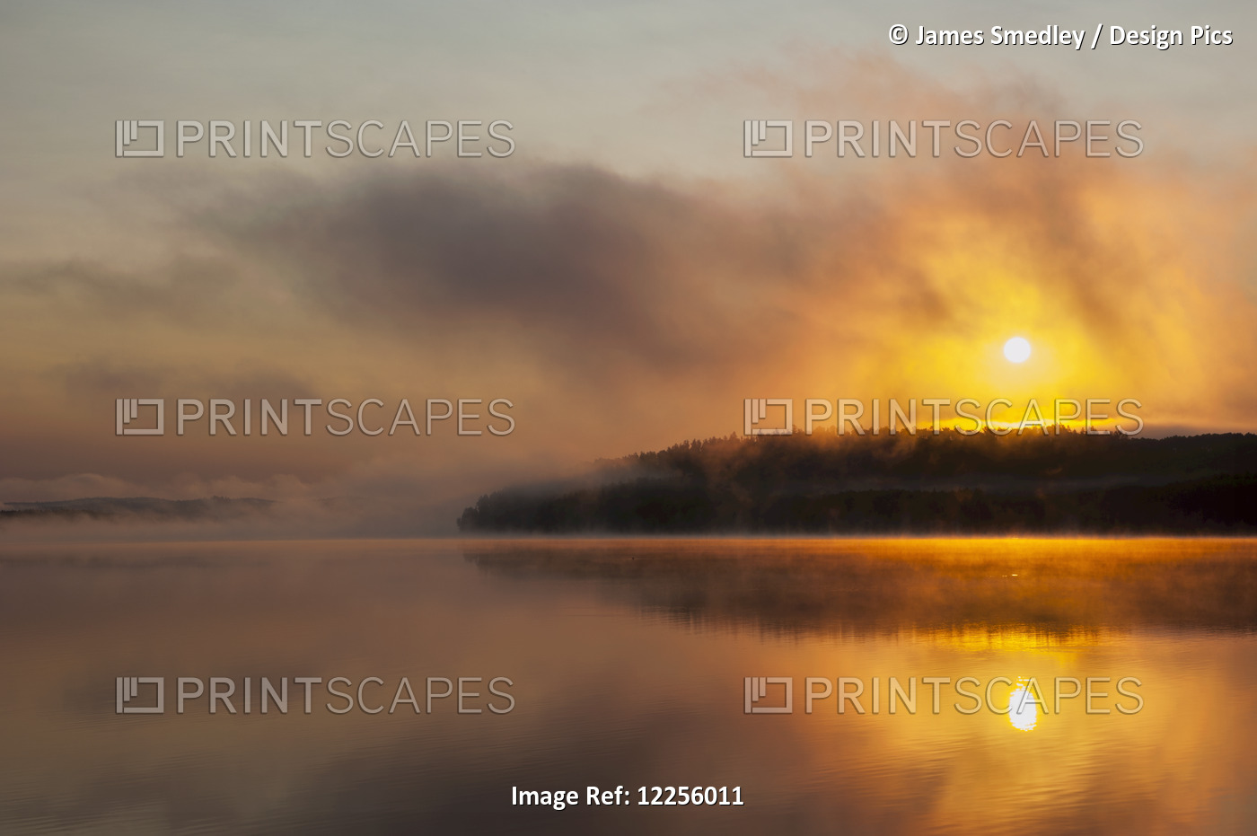 Sunrise Over A Calm, Misty, Wilderness Lake; Ontario, Canada