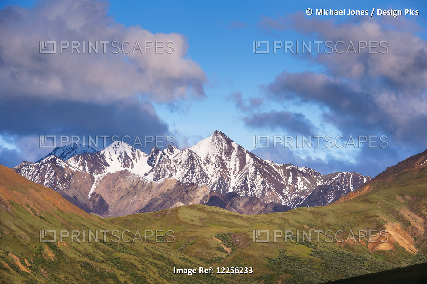 Scenic View Of Fang Mountain And Alaska Range, Denali National Park And ...