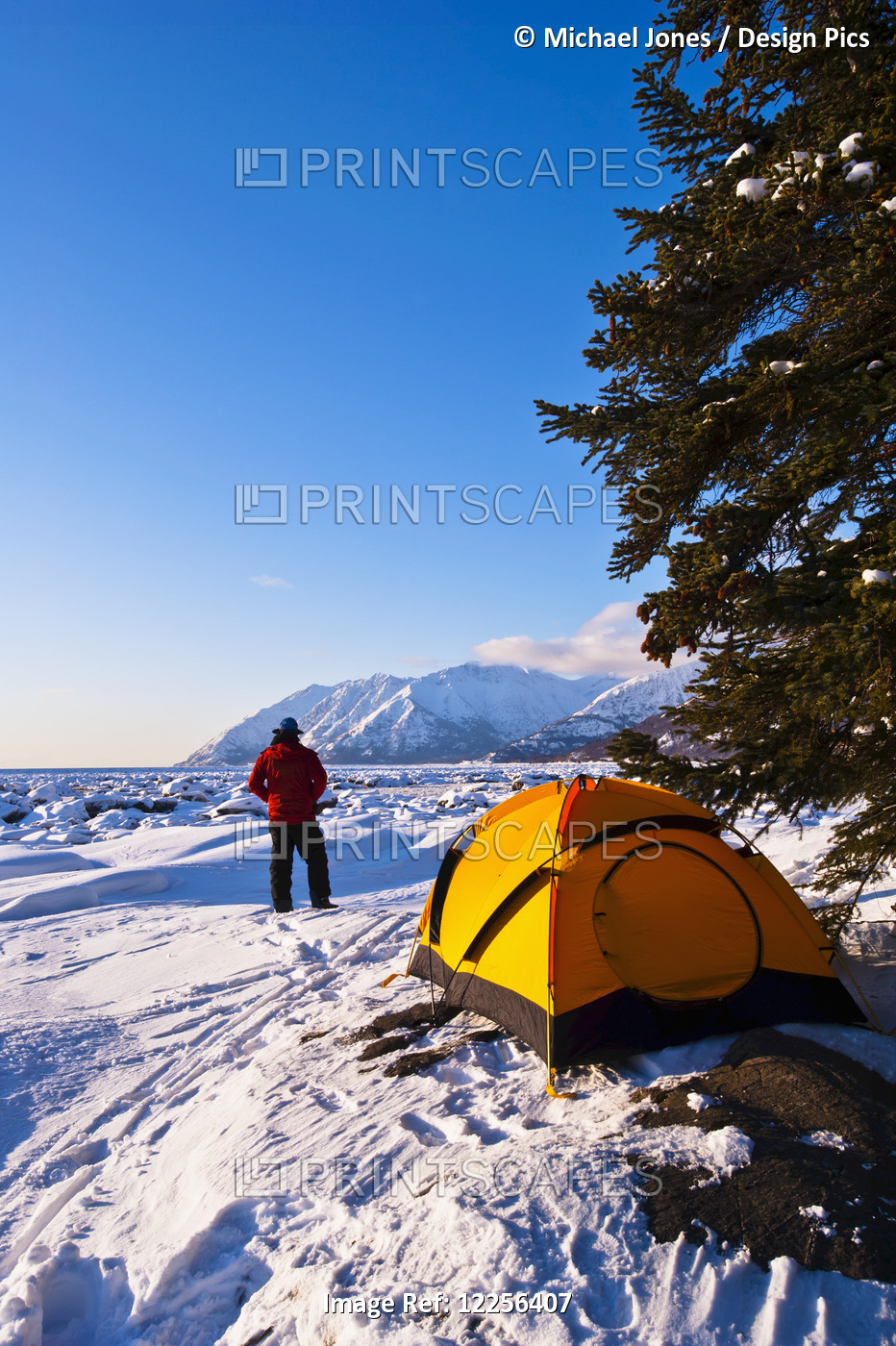 A Man At His Winter Campsite On Bird Point With Turnagain Arm In The ...