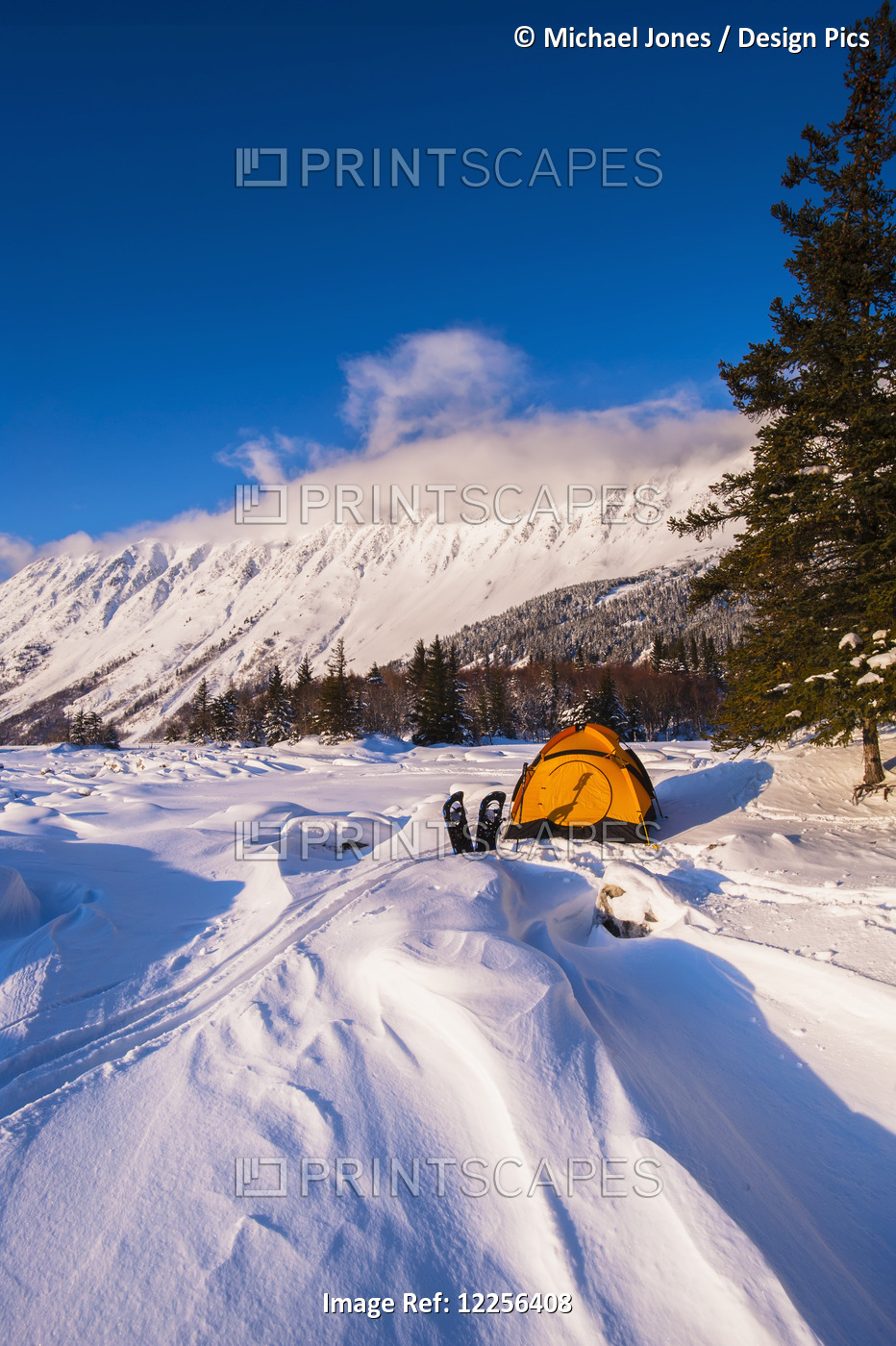 A Winter Campsite On Bird Point With Turnagain Arm In The Background, ...