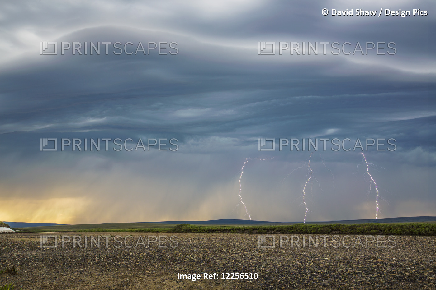 Lightning Bolts Descend From Dark Clouds Over The Tundra Of Alaska's Northwest ...