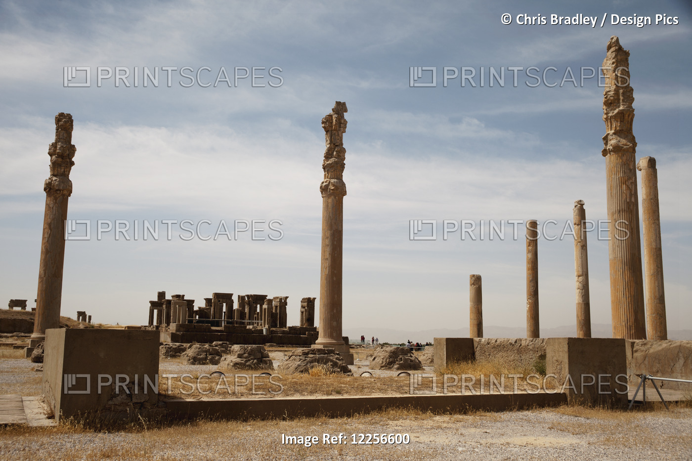 Columns Of The Apadana Hall, And Winter Palace Of Darius In Background; ...