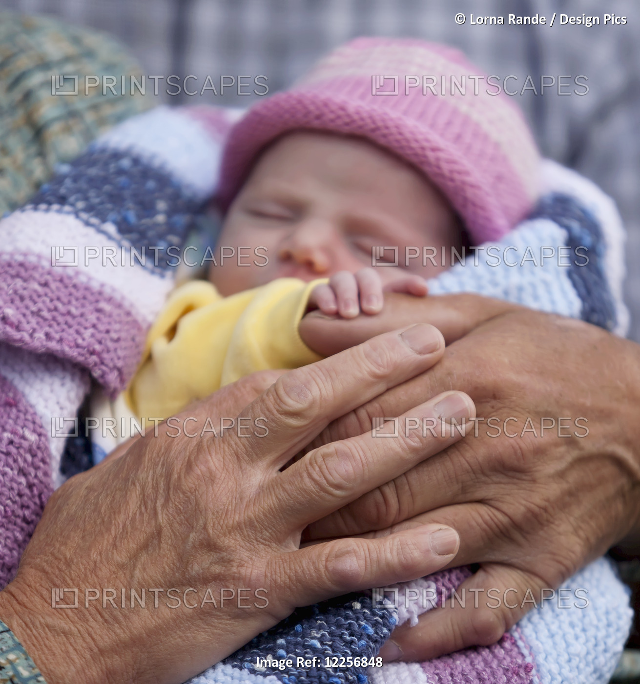 Grandmother Holding Her Newest One Month Old Grandchild; Surrey, British ...