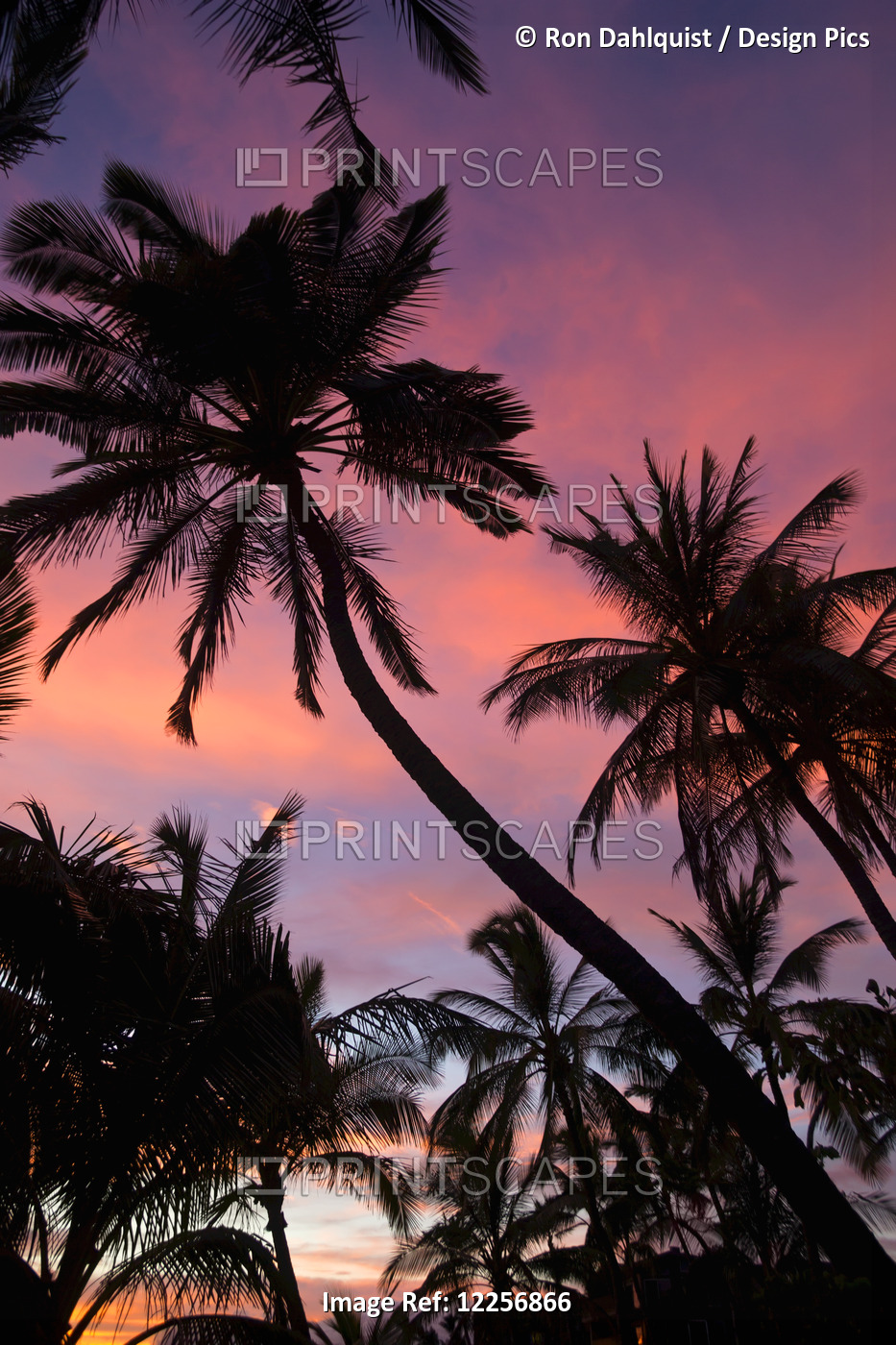 Sunset At Keawekapu Beach; Wailea, Maui, Hawaii, United States Of America