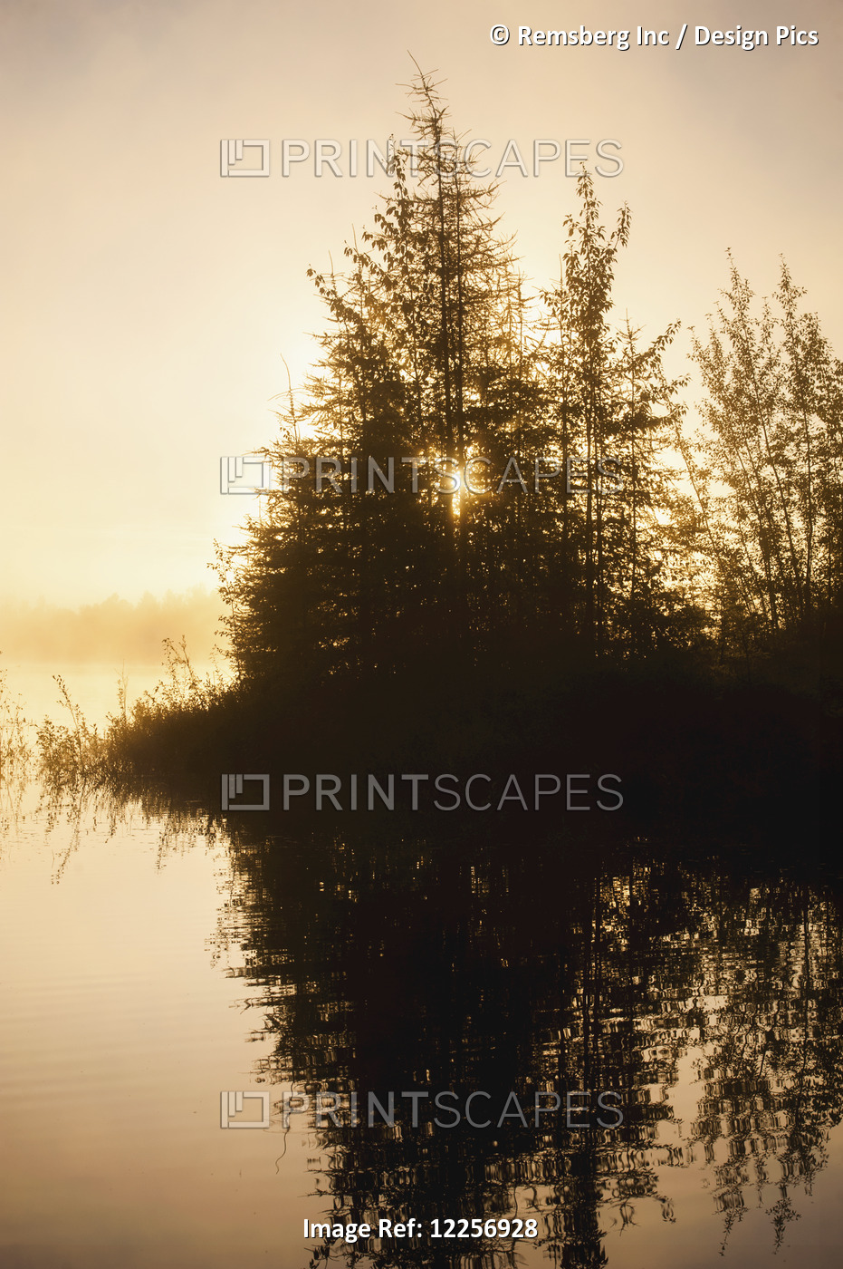 Sunset View Of Trees Reflected In Chena Lake, Delta Junction, Interior Alaska