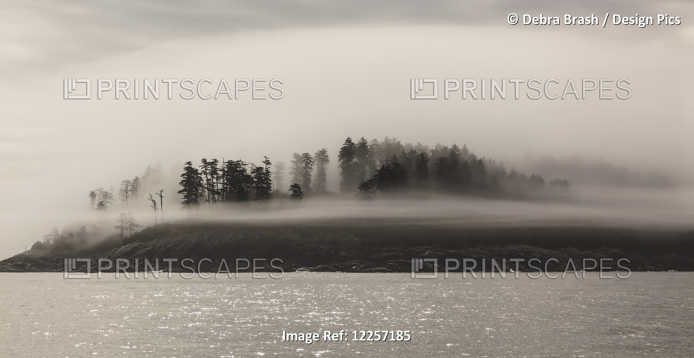 Pine Island Shrouded In Fog On The Coast; British Columbia, Canada