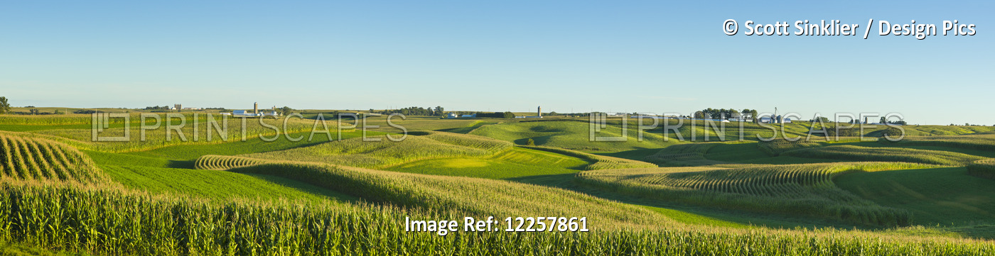 A Panoramic View Of Alfalfa Fields And Corn Fields That Are Terraced Among ...