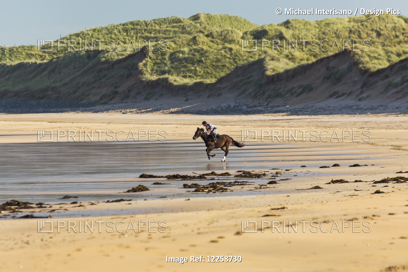Horse And Rider On Beach With Grassy Sand Dunes And Blue Sky; Count Clare, ...