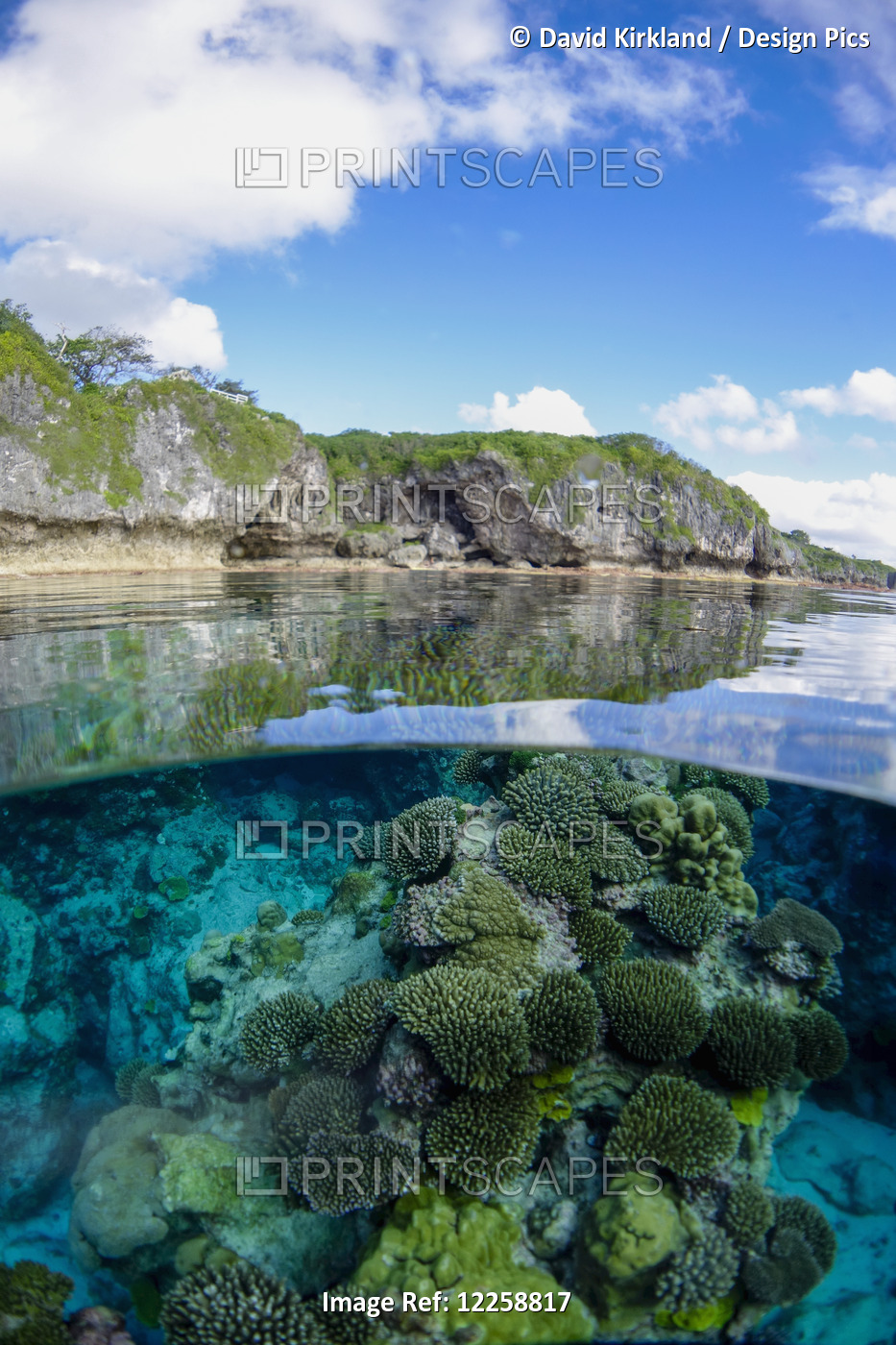 Coral Reef; Niue