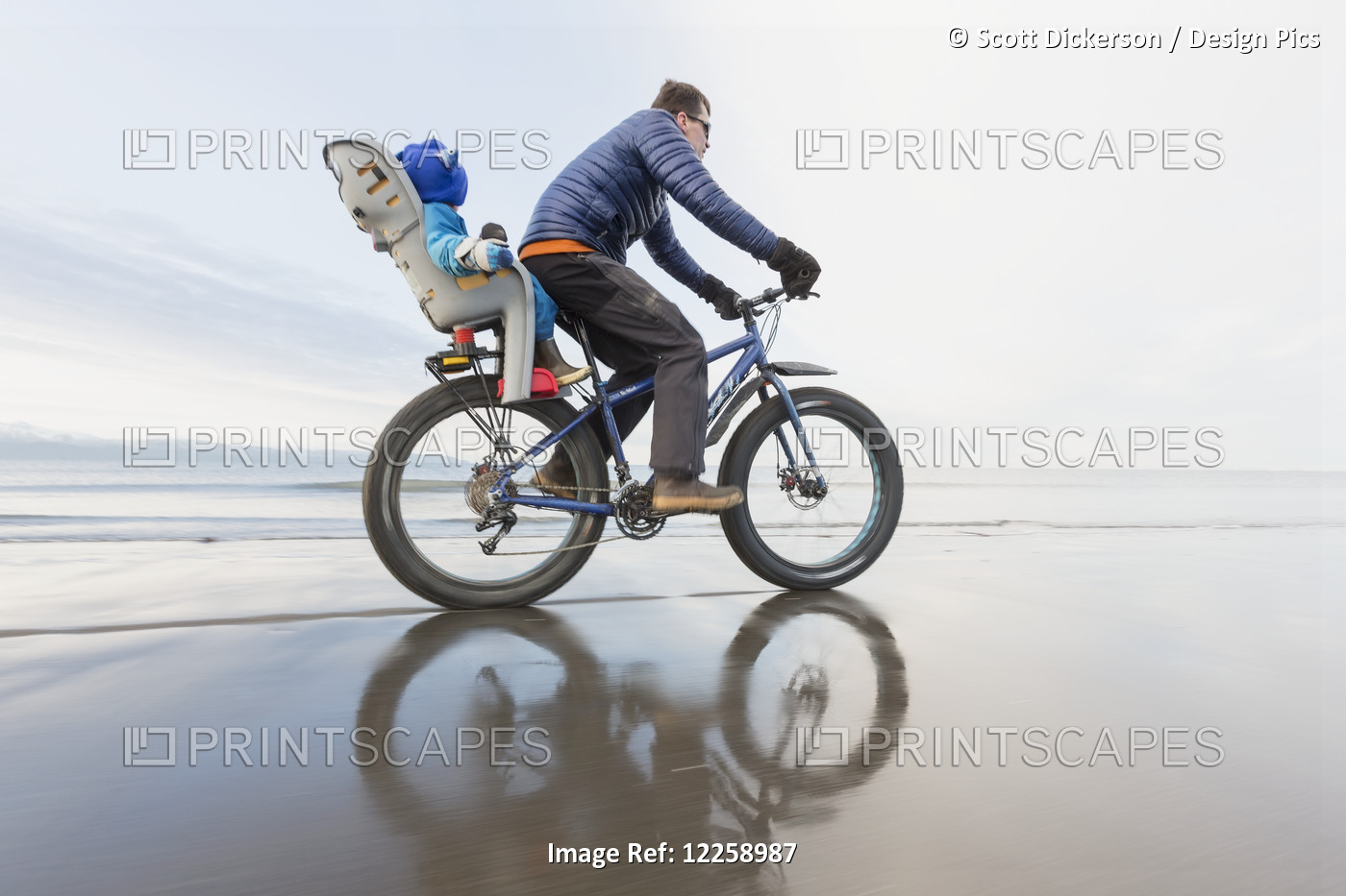 Father And Son Riding A Fat Bike On The Beach In Homer, Kachemak Bay, ...