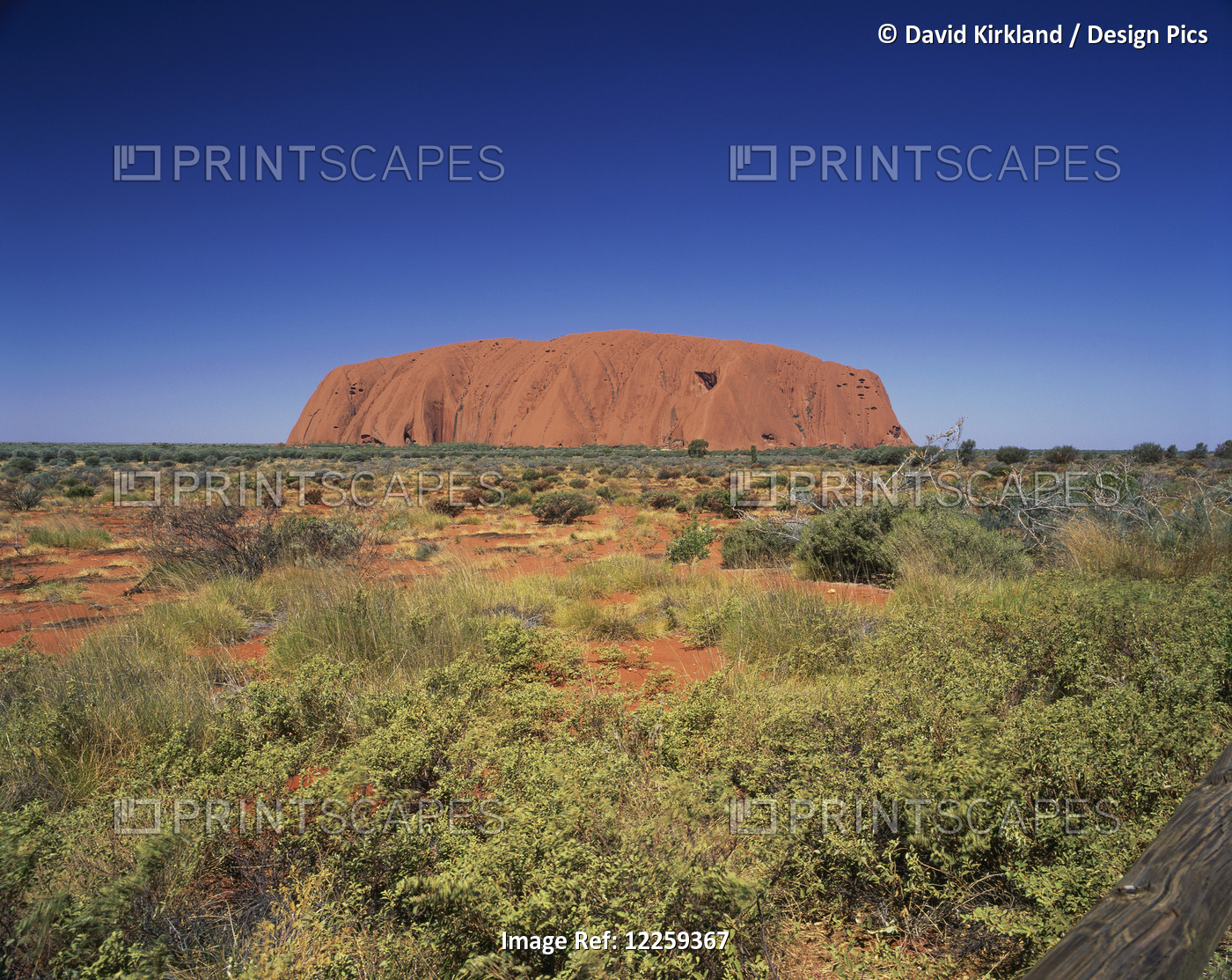 Uluru; Northern Territory, Australia