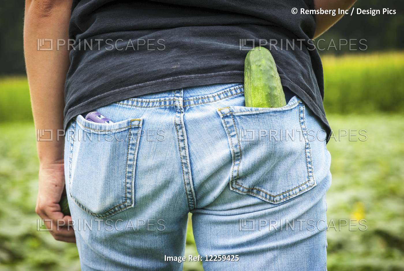 Cucumber Sticking Out Of The Back Pocket Of A Woman's Jeans, Near Federalsburg; ...