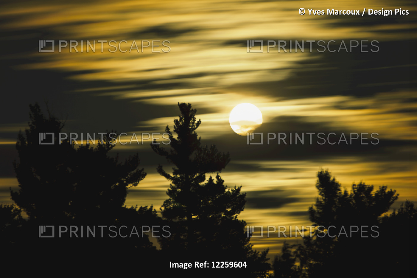 Moon And Clouds, Mont-Saint-Bruno National Park, Monteregie Region; Quebec, ...