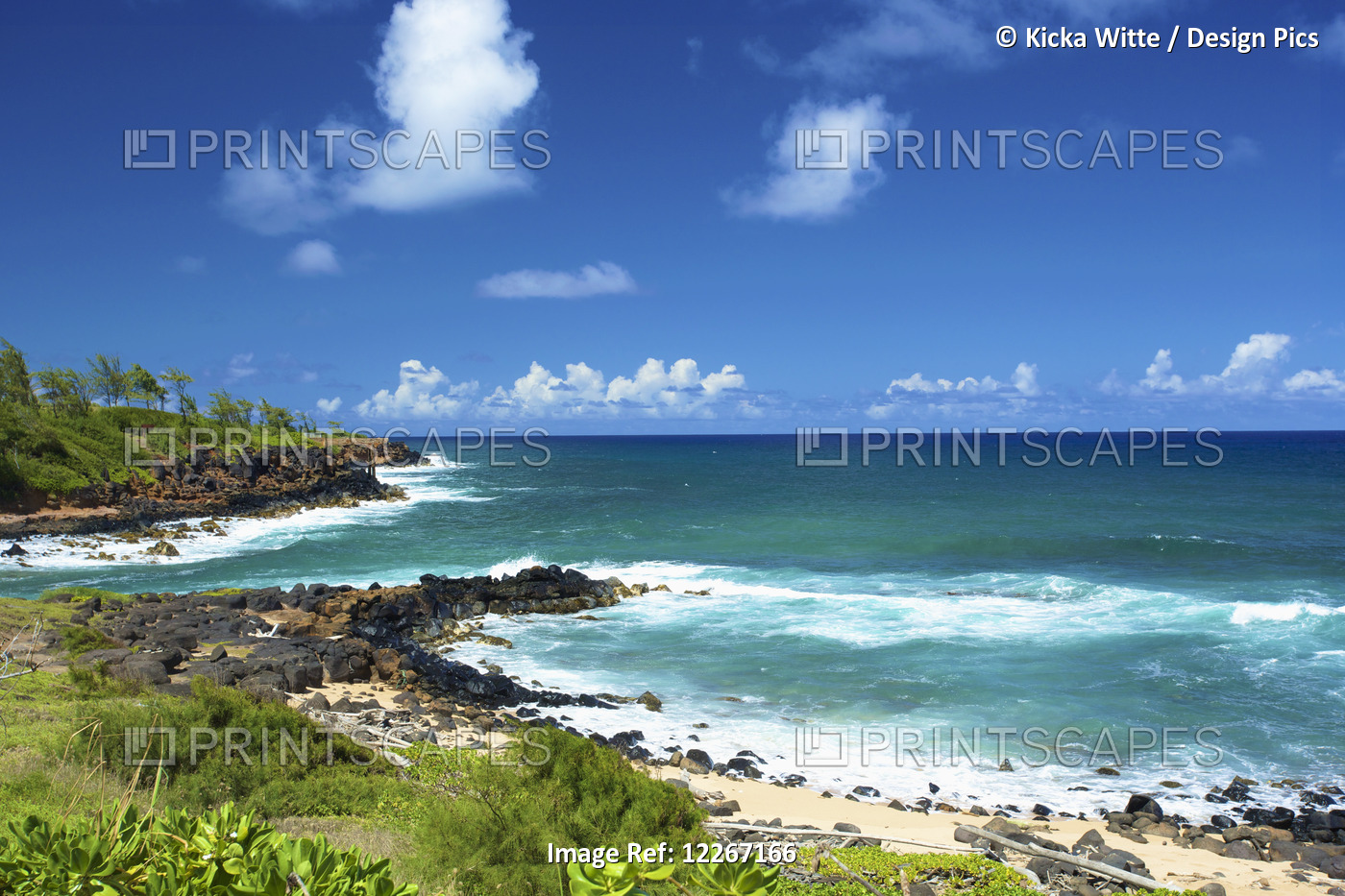 Pineapple Drop Off Kealia Coastal Bike Path; Kauai, Hawaii, United States Of ...